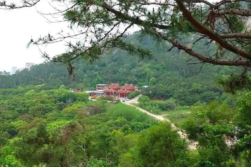 电压倍增电路